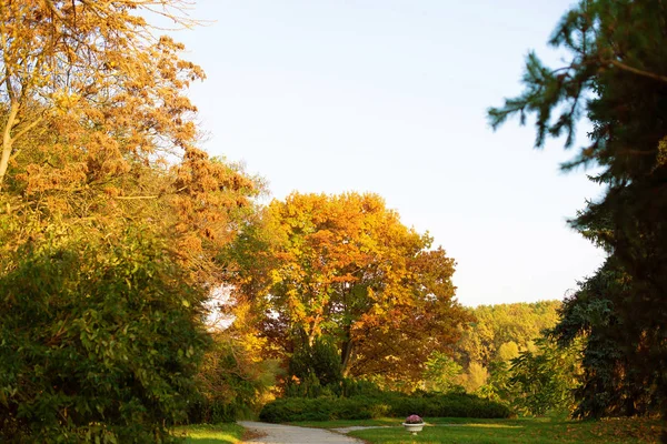 Фото барвистих дерев у парку, осінній сезон, сонячний день — стокове фото