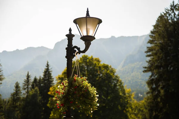 Красива вулична лампа в парку . — стокове фото