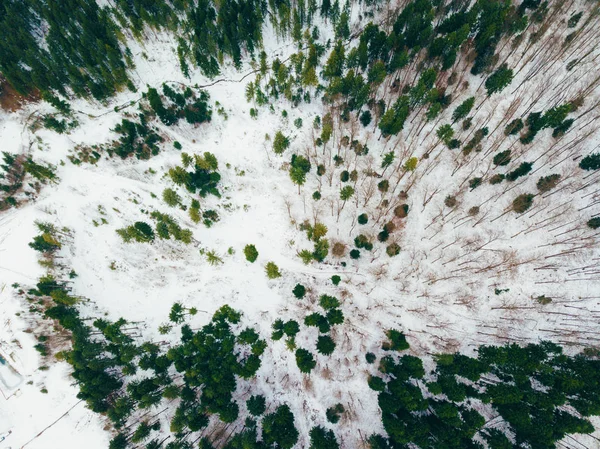 Αεροφωτογραφία drone από ψηλά του δάσους κατά τη διάρκεια του χειμώνα — Φωτογραφία Αρχείου