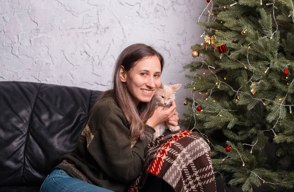 Μια όμορφη νεαρή γυναίκα χαμογελάει και αγκαλιάζει το μικρό της γατάκι κοντά σε ένα χριστουγεννιάτικο δέντρο σε μια άμαξα.. — Φωτογραφία Αρχείου
