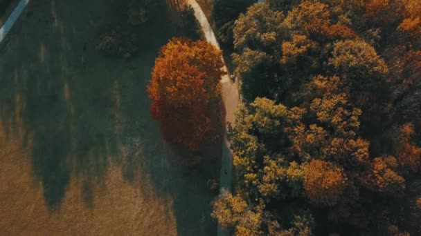 Drone footage of beautiful autumn and colorful landscape, beautiful park — Stock Video
