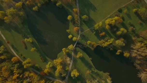 Volo sul fiume nel parco durante l'autunno, paesaggio colorato — Video Stock