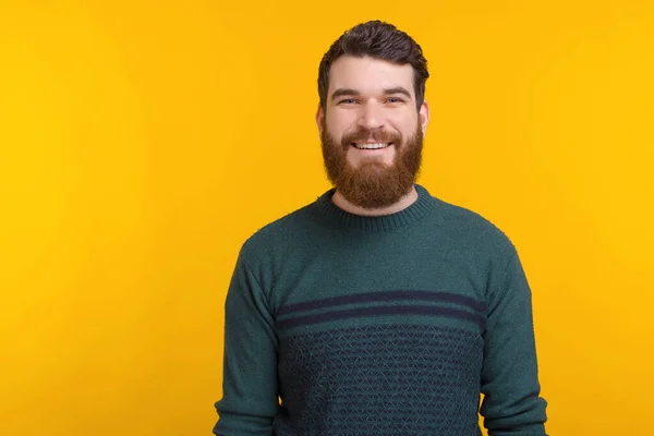 Portrait simple d'un beau jeune homme barbu souriant à la caméra sur fond jaune — Photo