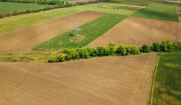 Luchtfoto Drone Van Graan Landbouwgrond Het Voorjaar — Stockfoto