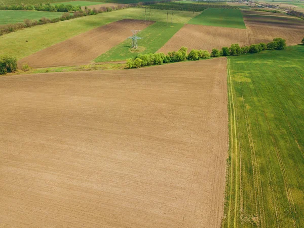 Drone Aéreo Foto Terra Fazenda Cereais Durante Primavera — Fotografia de Stock