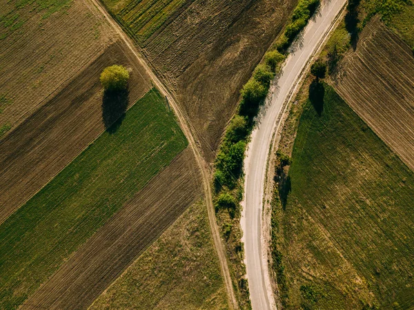 Aerial drone photo of cereal farm land during spring time.