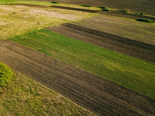 Flygdrönare Foto Spannmål Gård Mark Våren — Stockfoto