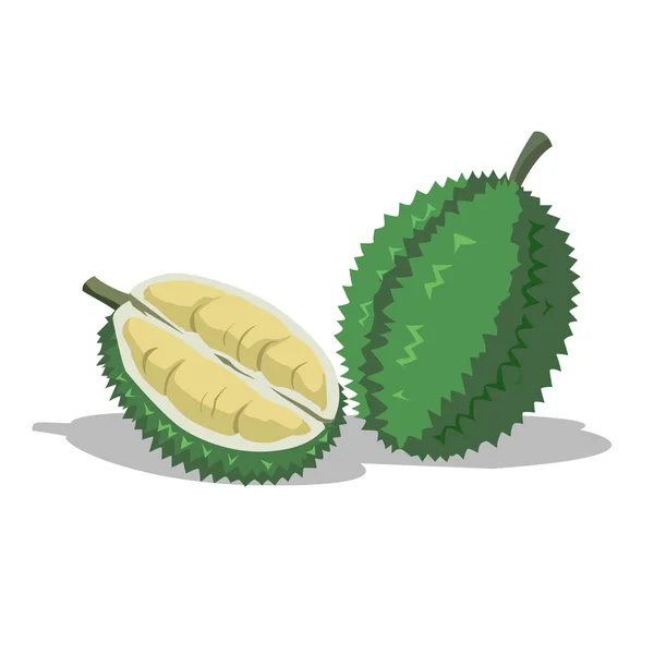 Duriano é uma fruta deliciosa — Vetor de Stock