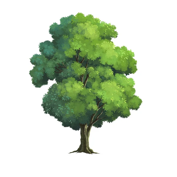 Иллюстрация дерева — стоковое фото