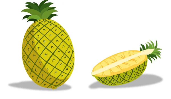 Pineapple is a delicious tropical fruit. — Stock Vector