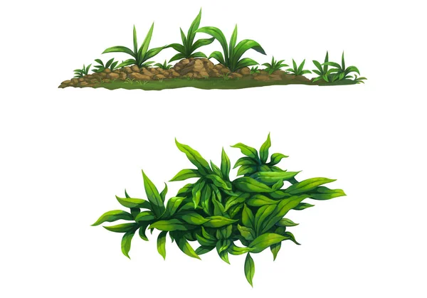 Illustration shrub for cartoon isolated on white background — Stock Photo, Image