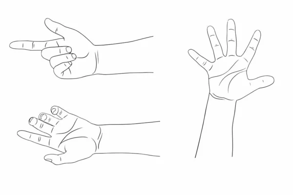 Hand Collection Vektorlinien Illustration Auf Weißem Hintergrund — Stockvektor