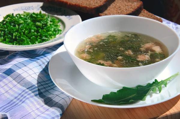 Suppe mit Brennnessel auf einer karierten blauen Tischdecke — Stockfoto