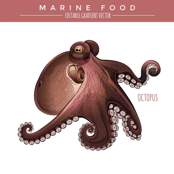 Pulpo. Alimentación marina — Archivo Imágenes Vectoriales