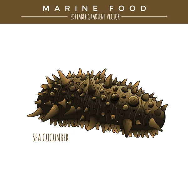 Concombre de mer. Aliments marins — Image vectorielle
