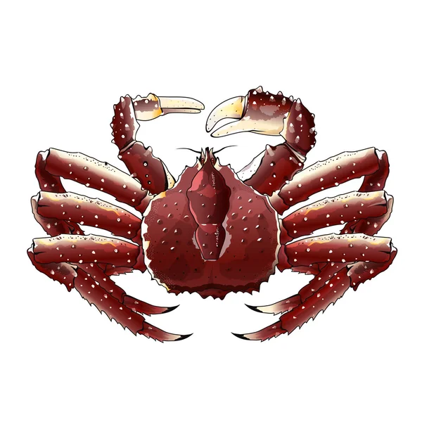 King Crab, Isolated Illustration — Stock Photo, Image