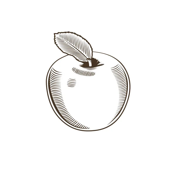 Manzana en estilo vintage — Foto de Stock