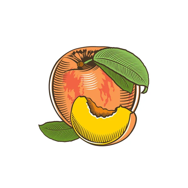 Персик в вінтажному стилі — стокове фото