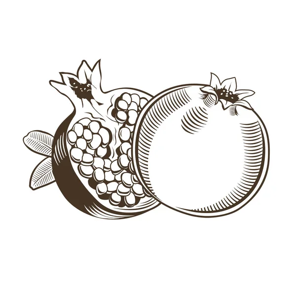 빈티지 스타일에 석류 — 스톡 사진