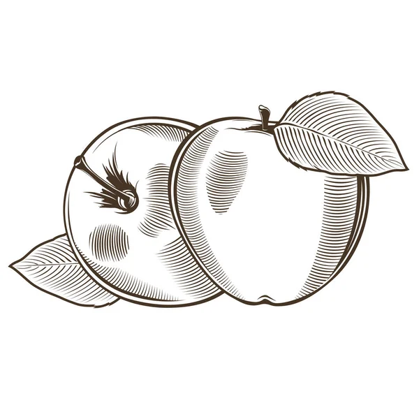 Яблука в вінтажному стилі — стокове фото