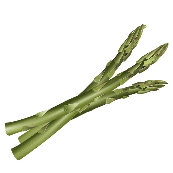 Asparagus on white background — Stock Photo, Image