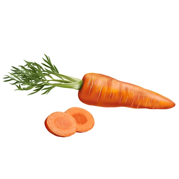 Zanahoria sobre fondo blanco —  Fotos de Stock