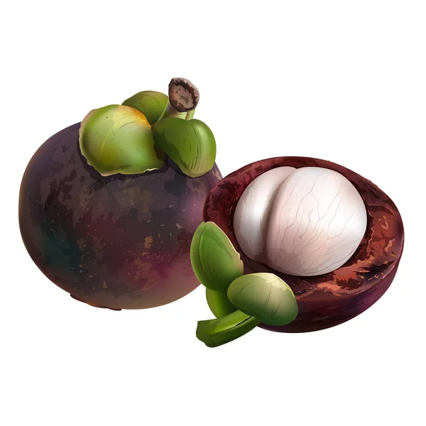 Mangostan auf weißem Hintergrund — Stockfoto