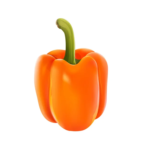 Oranje peper op witte achtergrond — Stockfoto