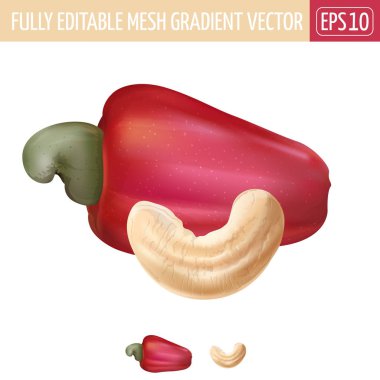 Kaju beyaz arka plan üzerinde. Vektör çizim