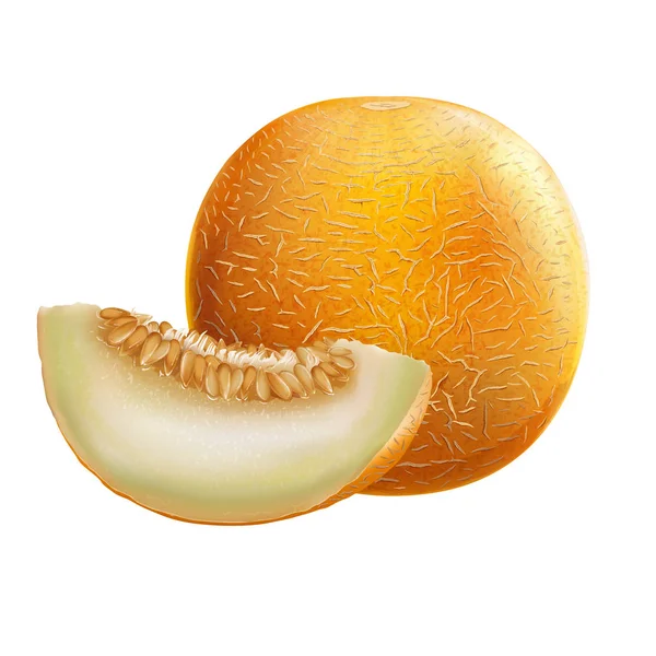 Melon på vit bakgrund — Stockfoto