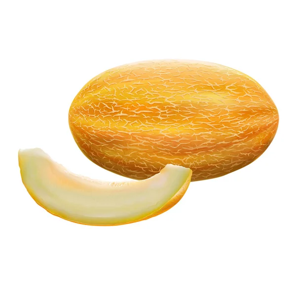 Melon på vit bakgrund — Stockfoto