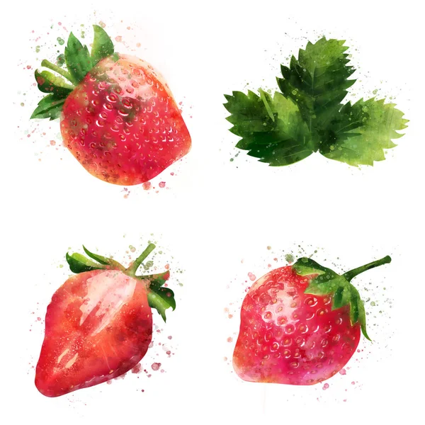 Strawberry on white background. Watercolor illustration — Stock Photo, Image