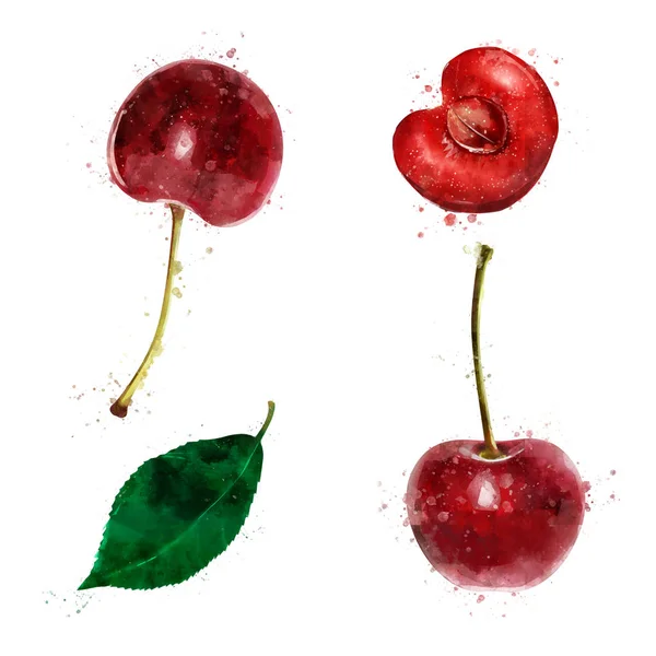 Körsbär på vit bakgrund. Akvarell illustration — Stockfoto