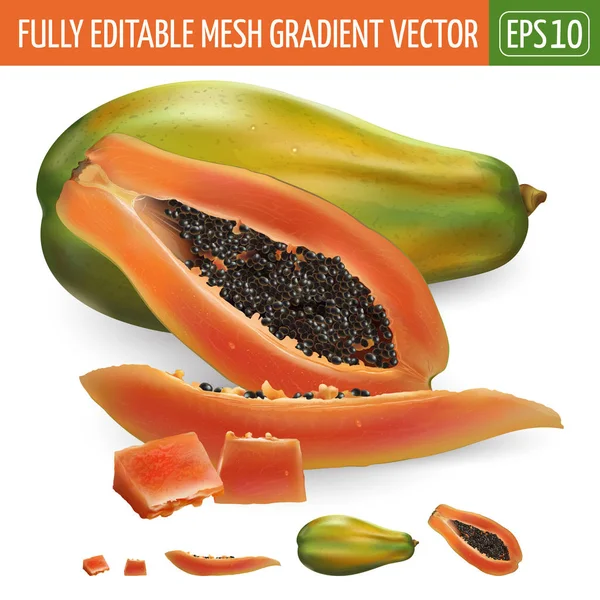 Papaya pe fundal alb. Ilustrație vectorială — Vector de stoc