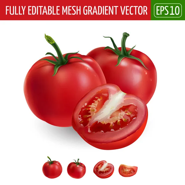 Tomaten auf weißem Hintergrund. Vektorillustration — Stockvektor