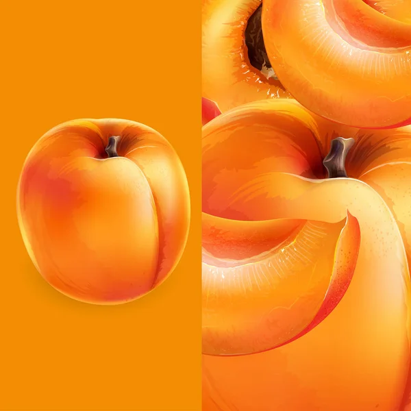 Abricot et tranches. Illustration vectorielle — Image vectorielle