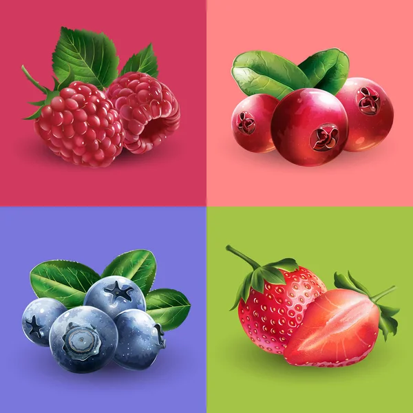 Frambuesas, arándanos, arándanos y fresas — Vector de stock