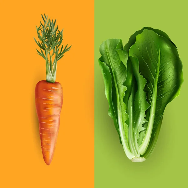Морква і салат. Векторні ілюстрації — стоковий вектор