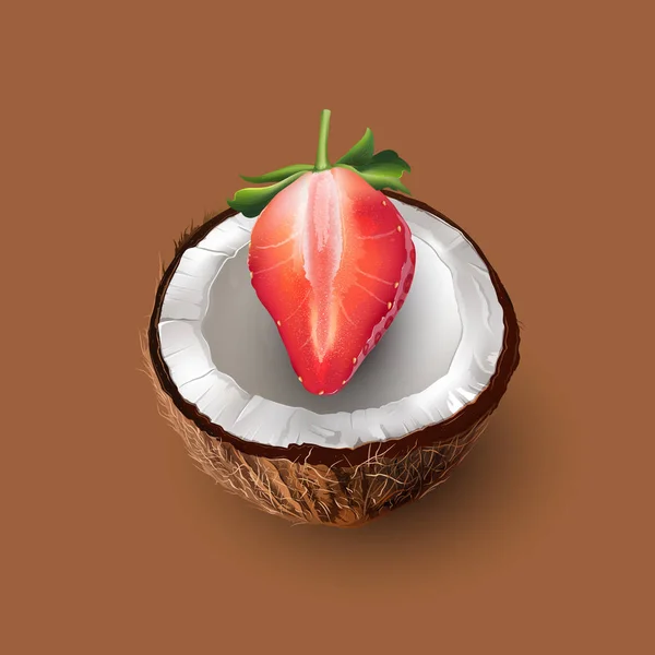 Coco y fresa. Ilustración vectorial — Vector de stock