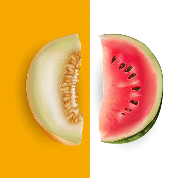 Rebanada de melón y sandía. Ilustración vectorial — Vector de stock