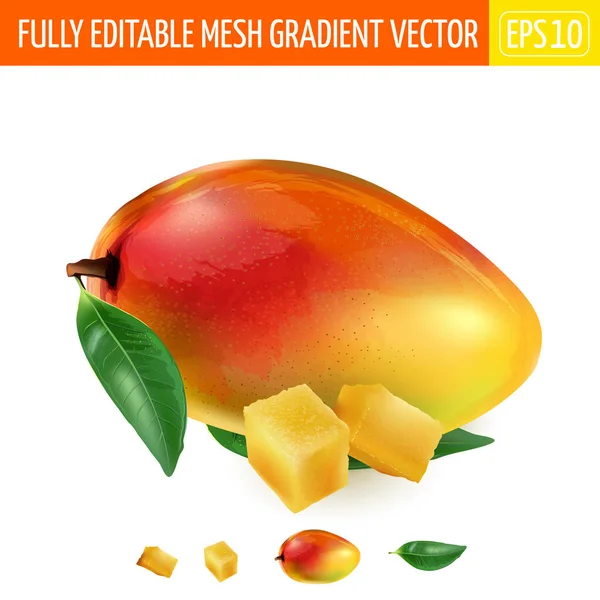 Reife Mango mit grünen Blättern und zwei Würfeln Fruchtfleisch. — Stockvektor