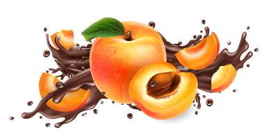 Composition of ripe apricots and chocolate splash. clipart