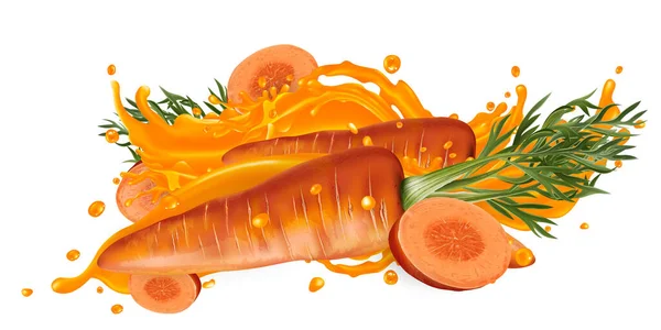 Zusammensetzung von ganzen und in Scheiben geschnittenen Karotten in einem Saftspritzer. — Stockvektor