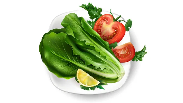 Zusammensetzung von frischem Gemüse auf einem weißen Teller. — Stockvektor