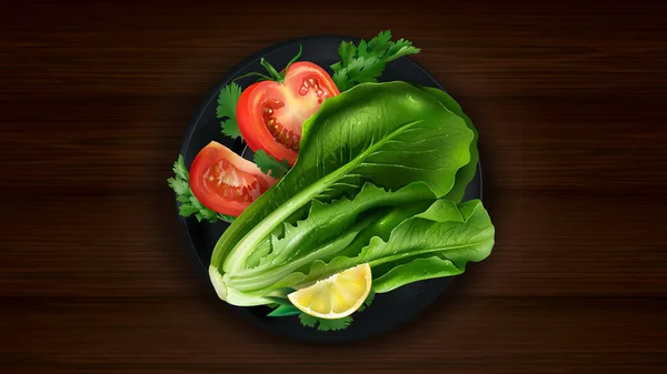 Lechuga fresca y tomate en rodajas con hierbas . — Vector de stock