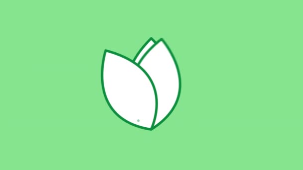 Flower Bud line icoon op het Alpha Channel — Stockvideo