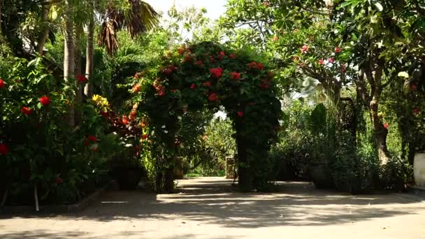 Garten mit natürlicher Landschaftsgestaltung. — Stockvideo