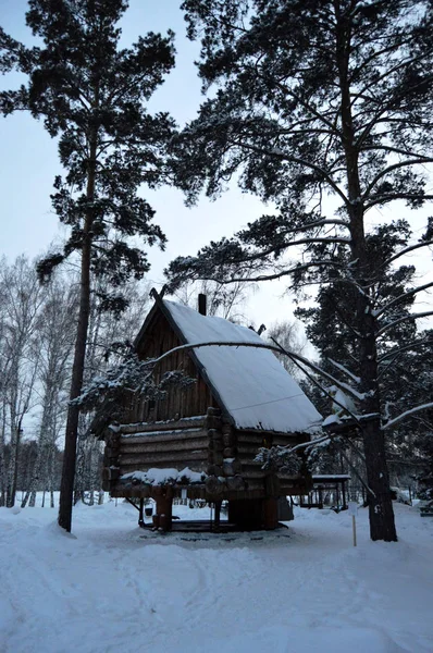 Cabaña de madera en el bosque —  Fotos de Stock