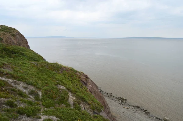 Anadyr Körfezi Anadyr 'den Görünüm