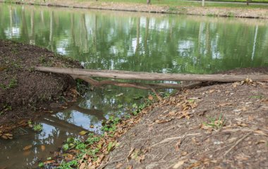 Eski ahşap günlük Köprü Nehri üzerinde